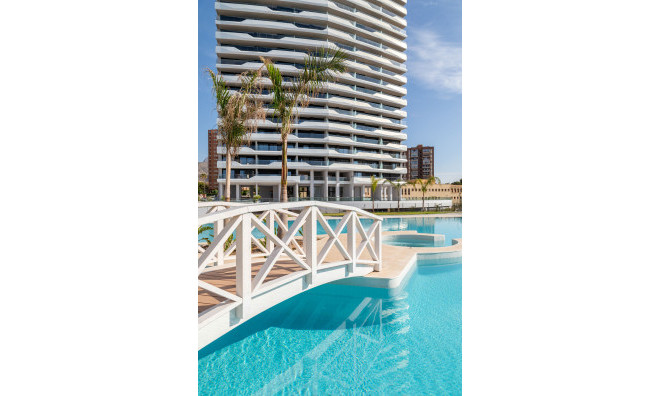 Apartamento / piso - Obra nueva - Benidorm - Benidorm
