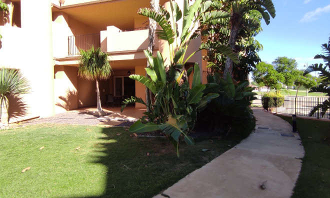 Apartment / flat - Resale - Torre-Pacheco -
                Mar Menor Golf Resort