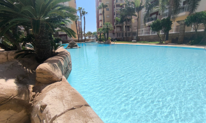 Appartement / flat - Herverkoop - La Manga Del Mar Menor -
                San Javier