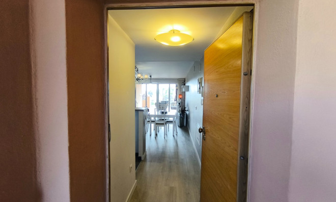 Appartement / flat - Herverkoop -
            Torre-Pacheco - PAR-TPMM5211