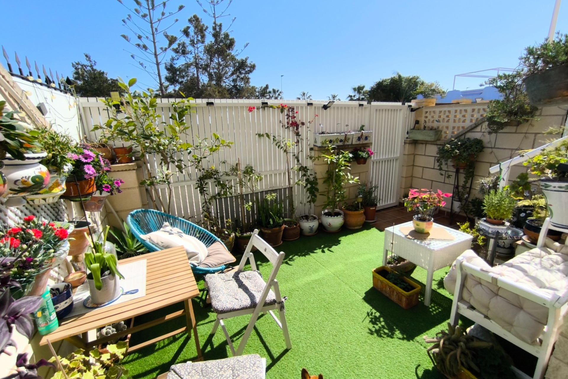 Återförsäljning - Triplex -
San Pedro del   Pinatar - San Pedro del Pinatar 