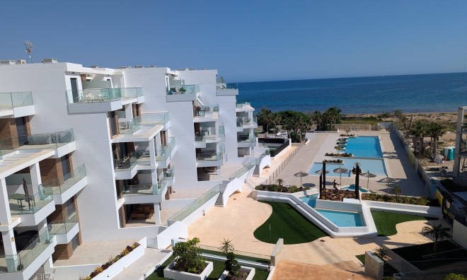 Ático - Obra nueva - Denia - Dénia