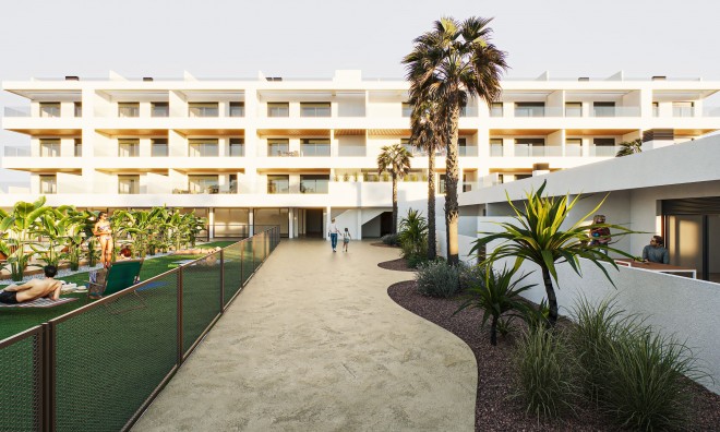 Квартира / квартира - Новое здание - Torrevieja - Torrevieja