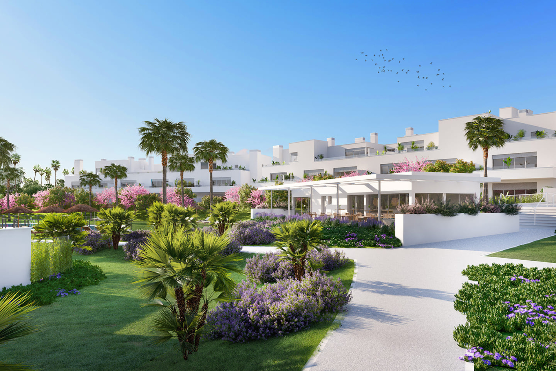 New Build - apartment -
Estepona