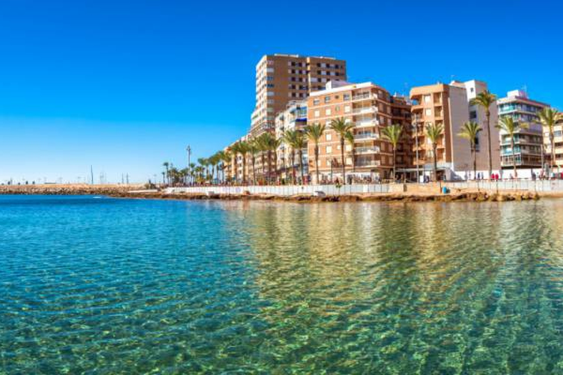 New Build - Apartment / flat -
Algorfa