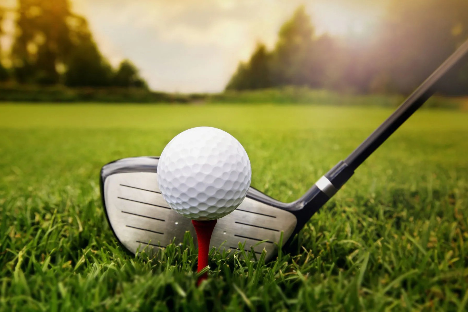 New Build - Apartment / flat -
Torrevieja