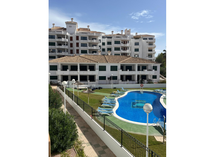 New Build - ground-floor -
Orihuela