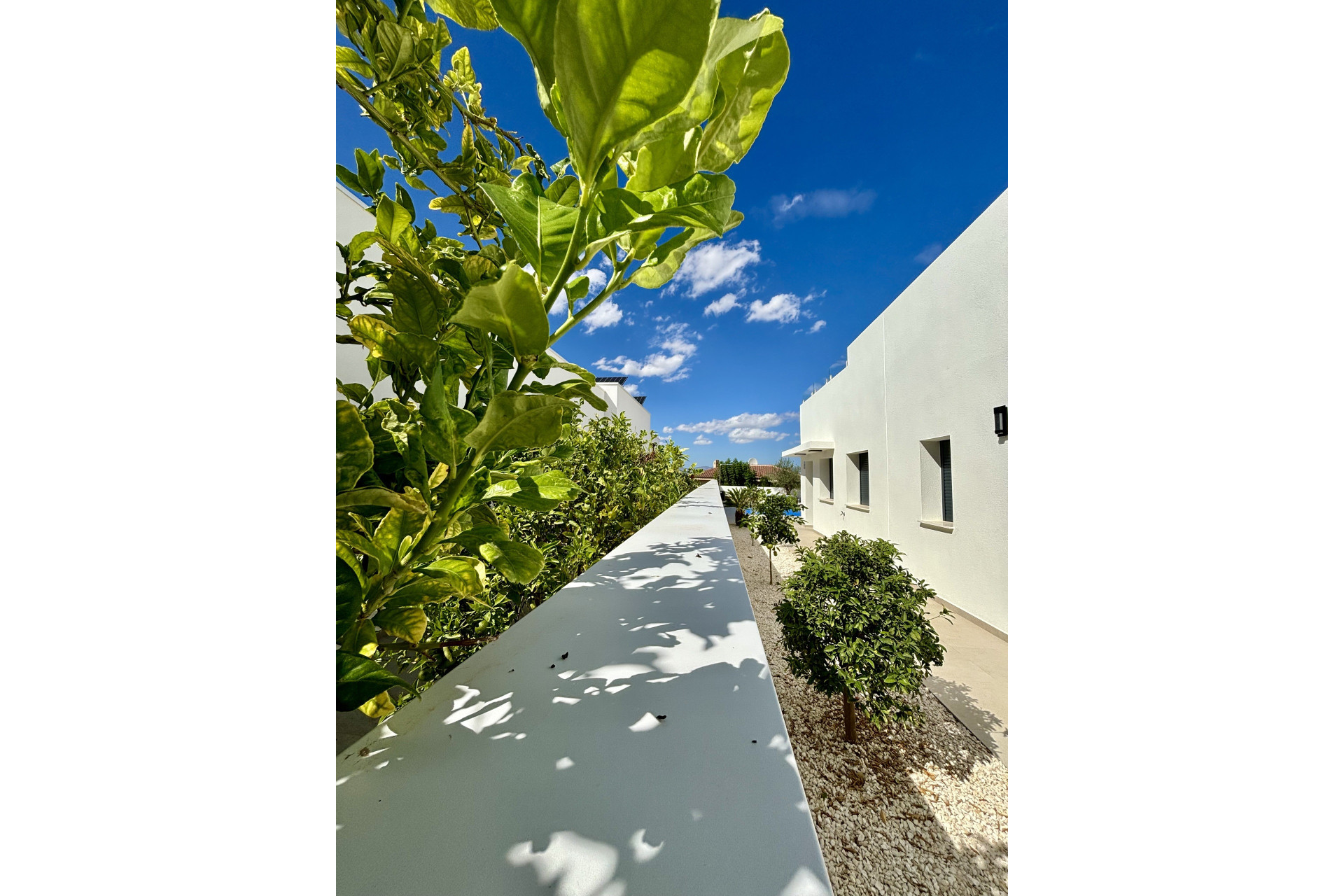 New Build - Townhouse -
Benijofar