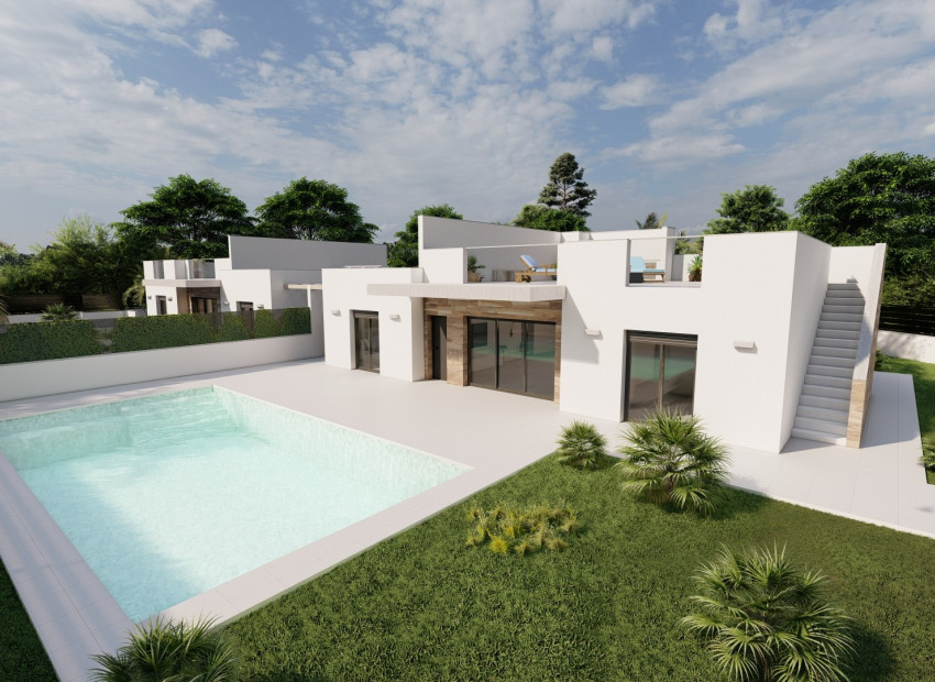 New Build - Villa -
Roldán