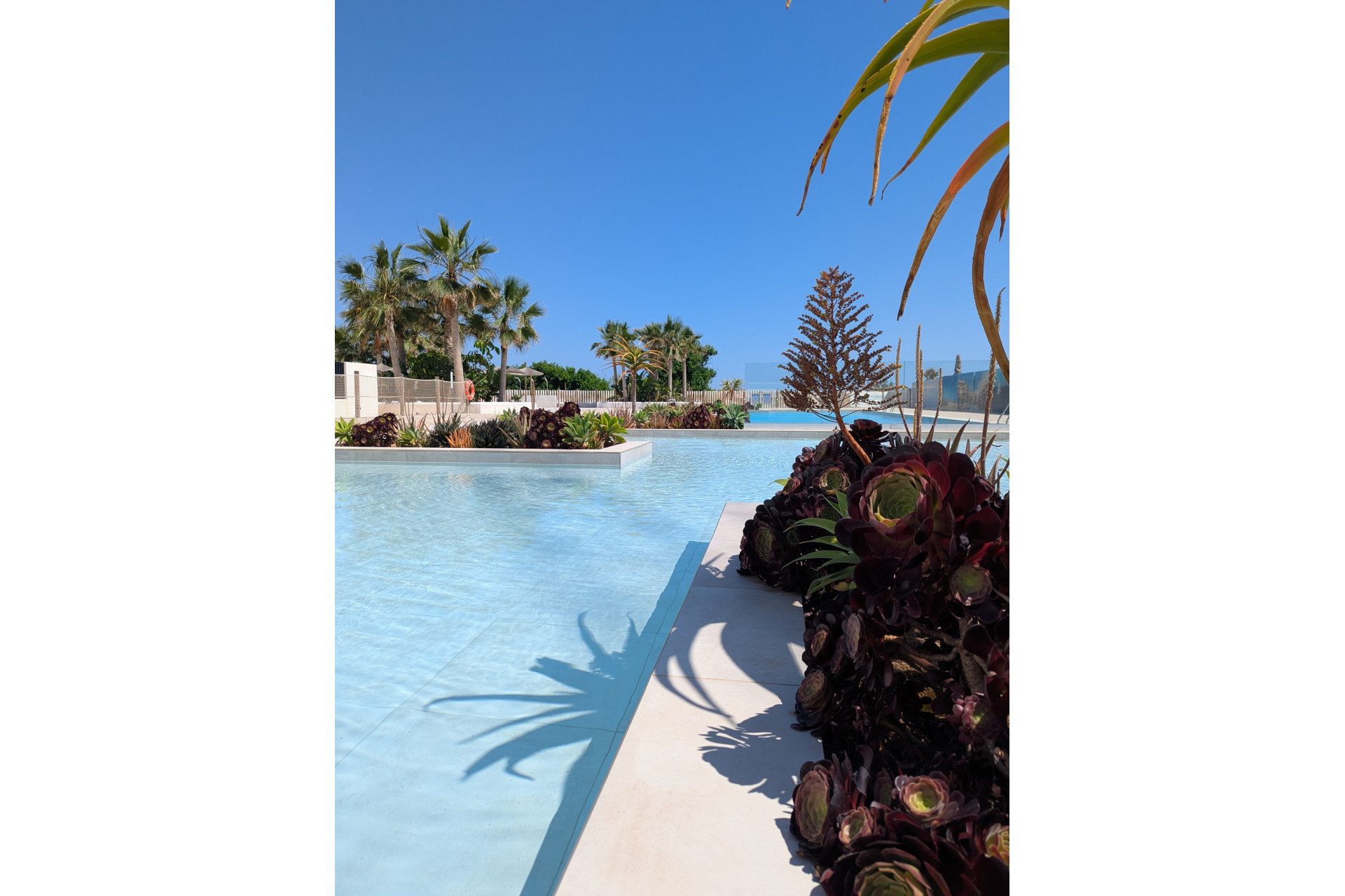 Nieuwbouw Woningen - Appartement / flat -
Denia - Dénia
