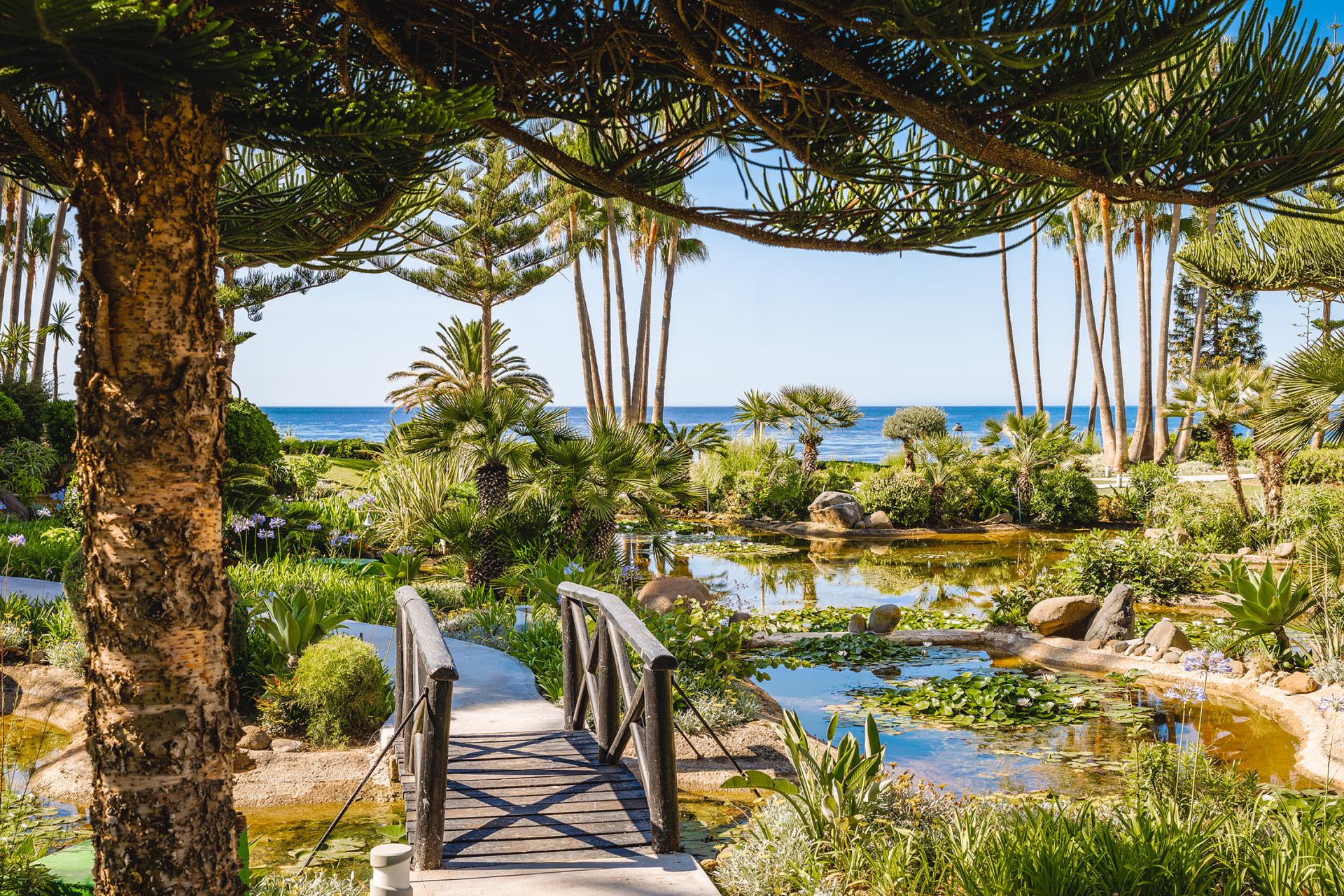 Nieuwbouw Woningen - Appartement / flat -
Marbella