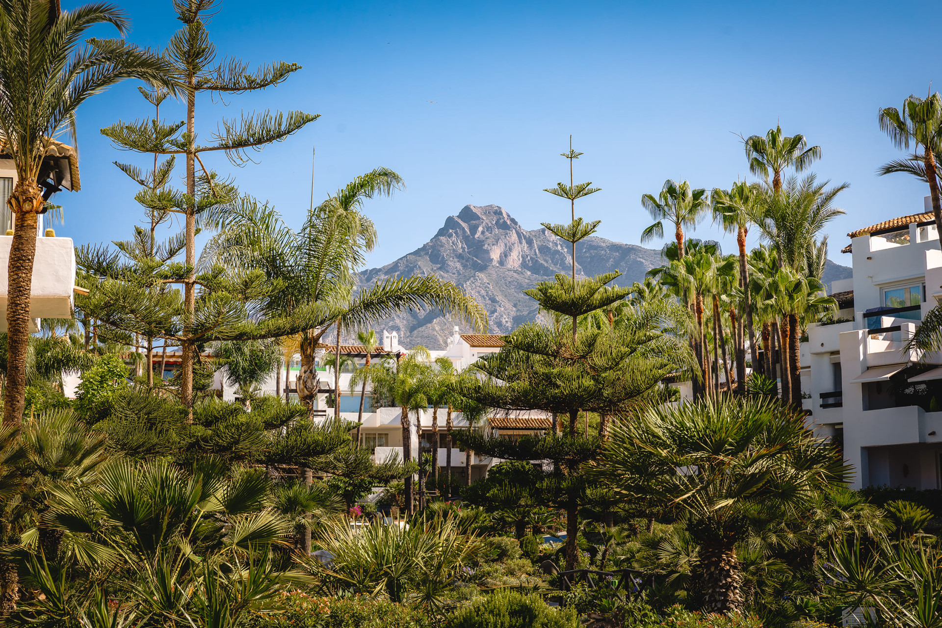 Nieuwbouw Woningen - Appartement / flat -
Marbella