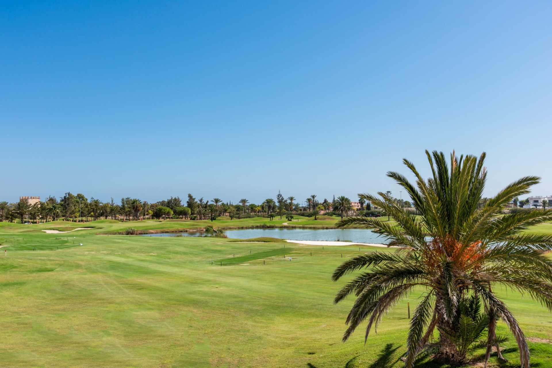 Nieuwbouw Woningen - Villa -
Los Alcázares - Serena Golf