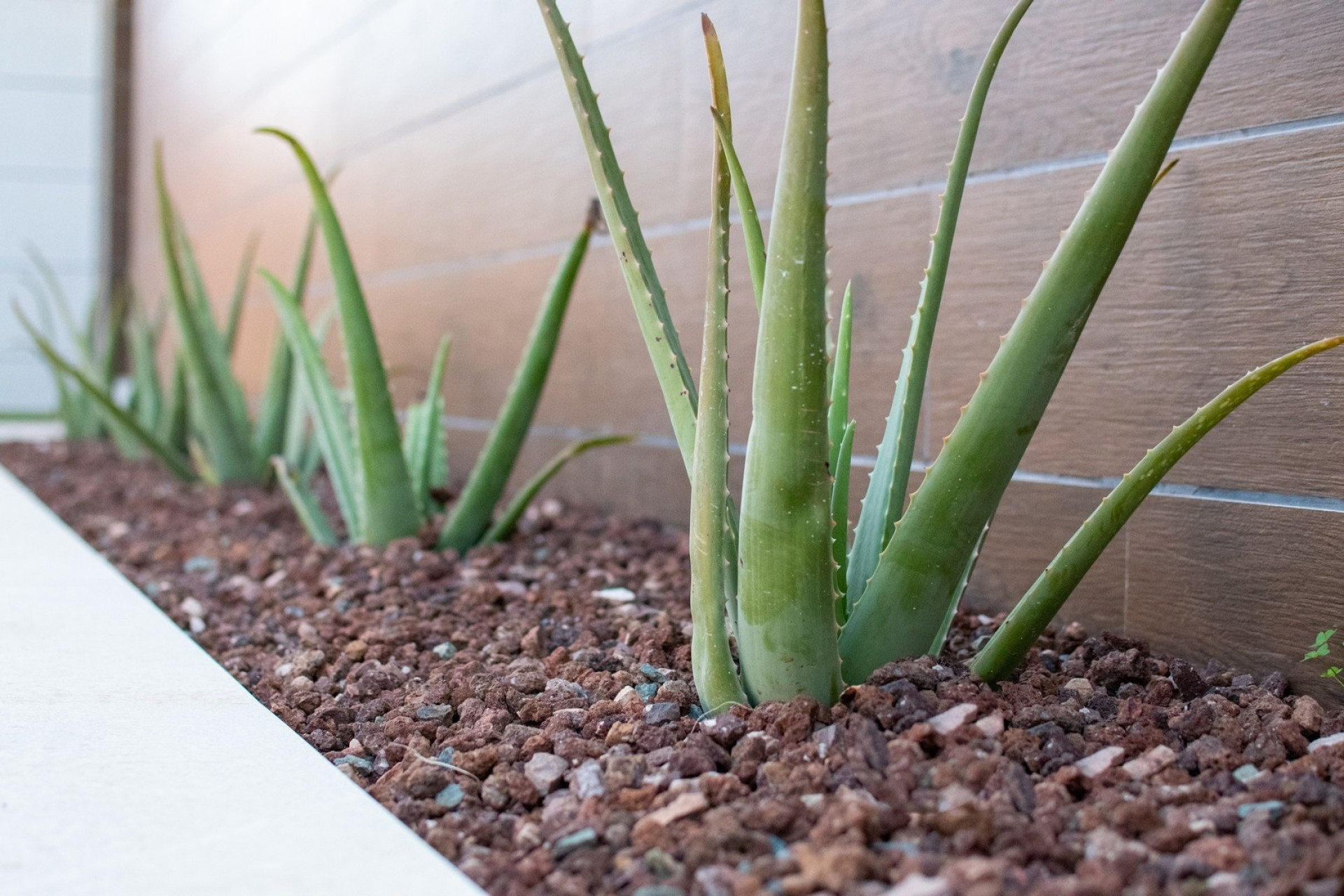 Nieuwbouw Woningen - Villa -
Montesinos