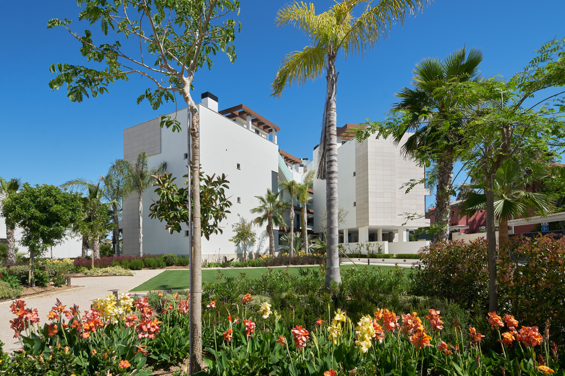 Nouvelle construction - Appartement -
Estepona