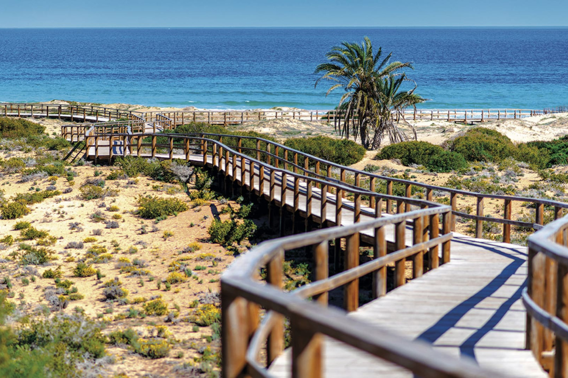 Nouvelle construction - Bungalow -
Monforte del Cid