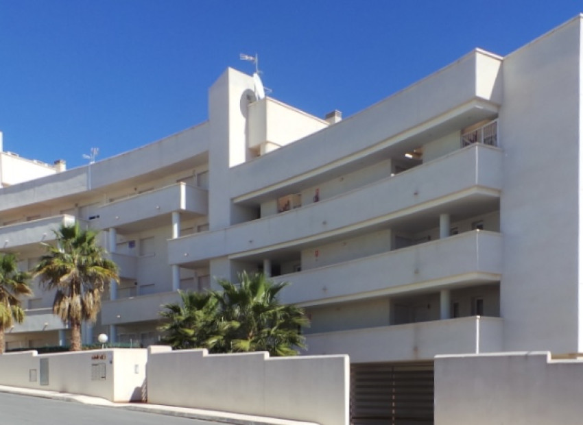 Nouvelle construction - ground-floor -
Orihuela