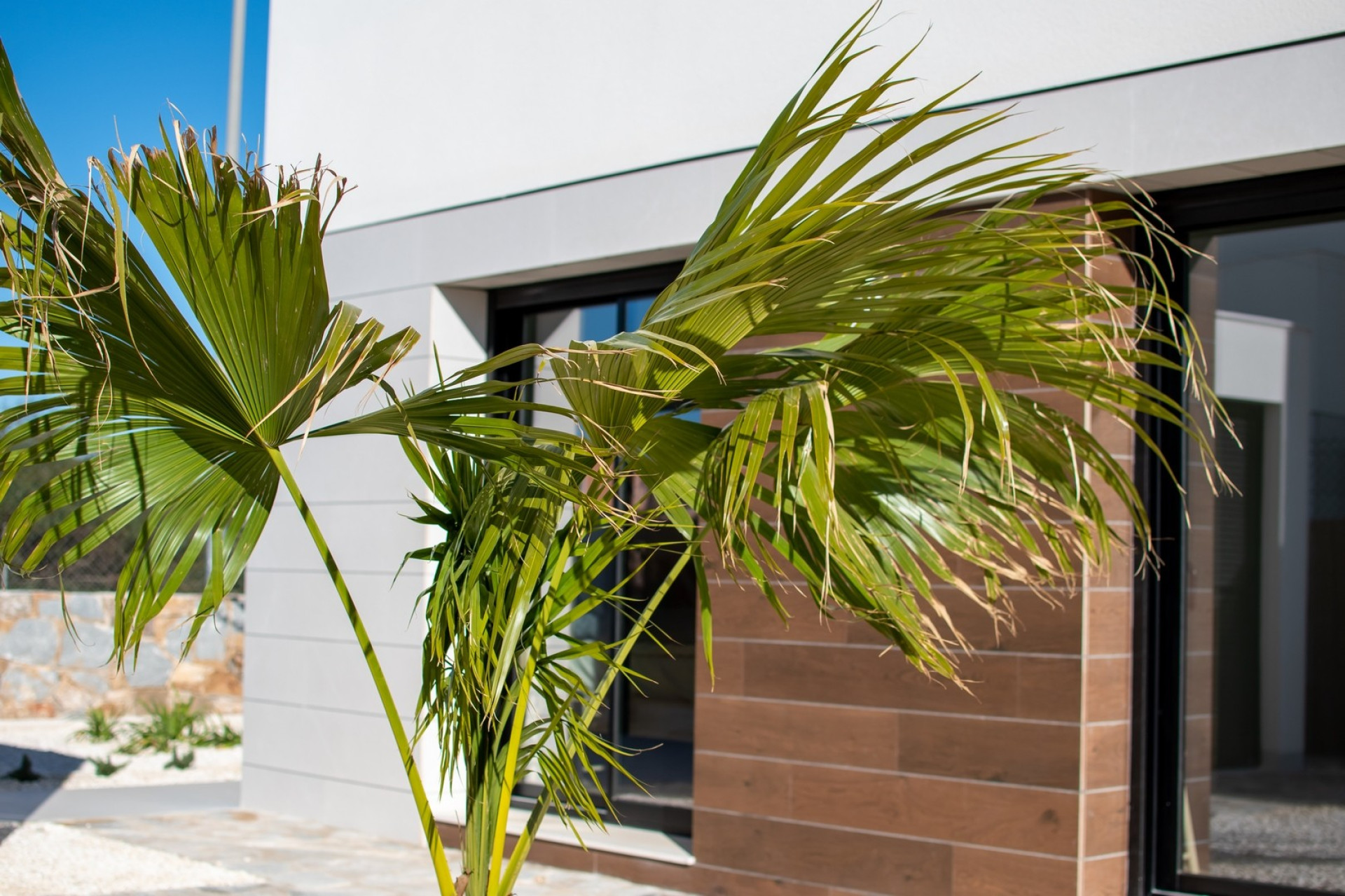 Nouvelle construction - Villa -
Montesinos