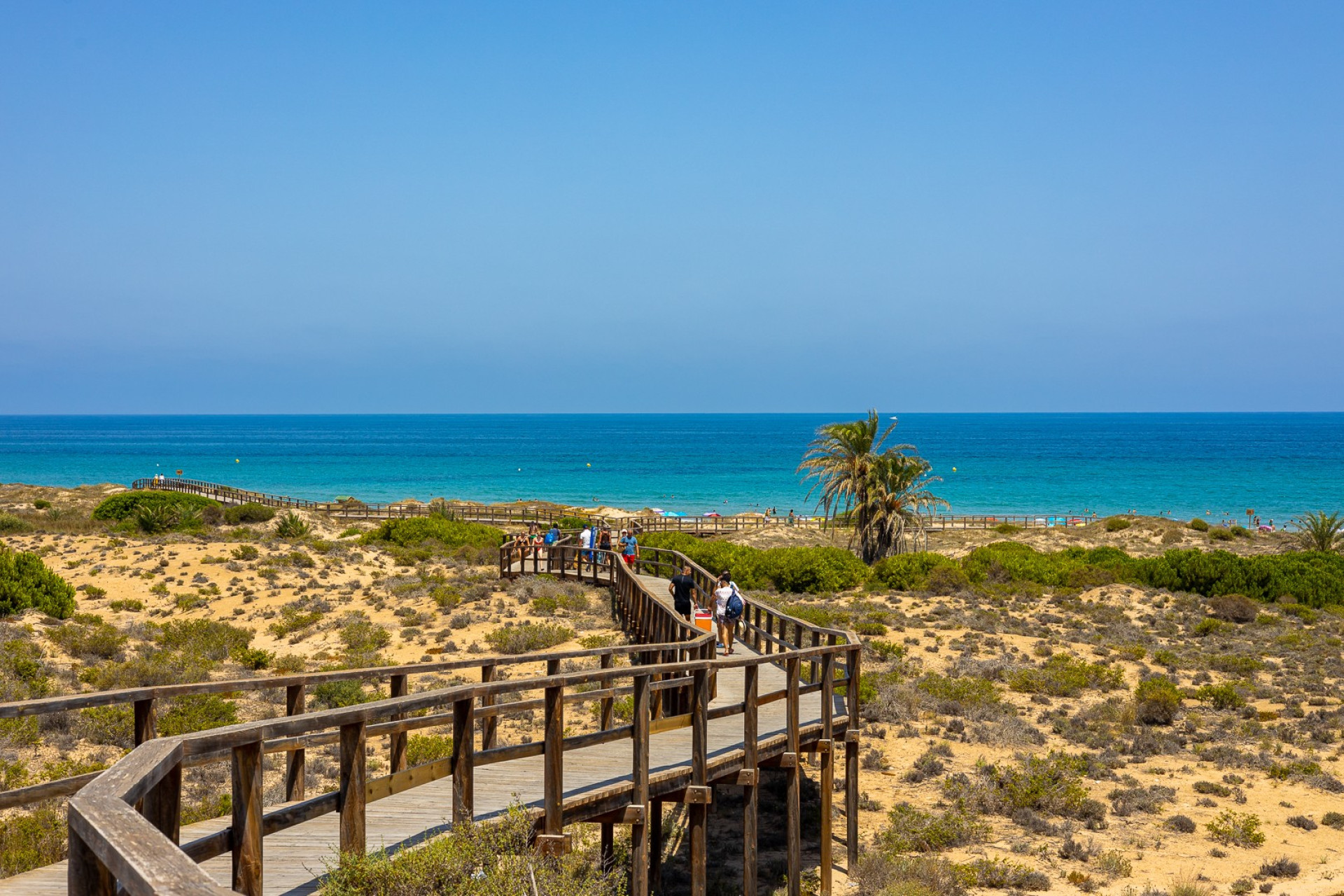 Новое здание - Квартира / квартира -
Arenales del Sol - Arenales