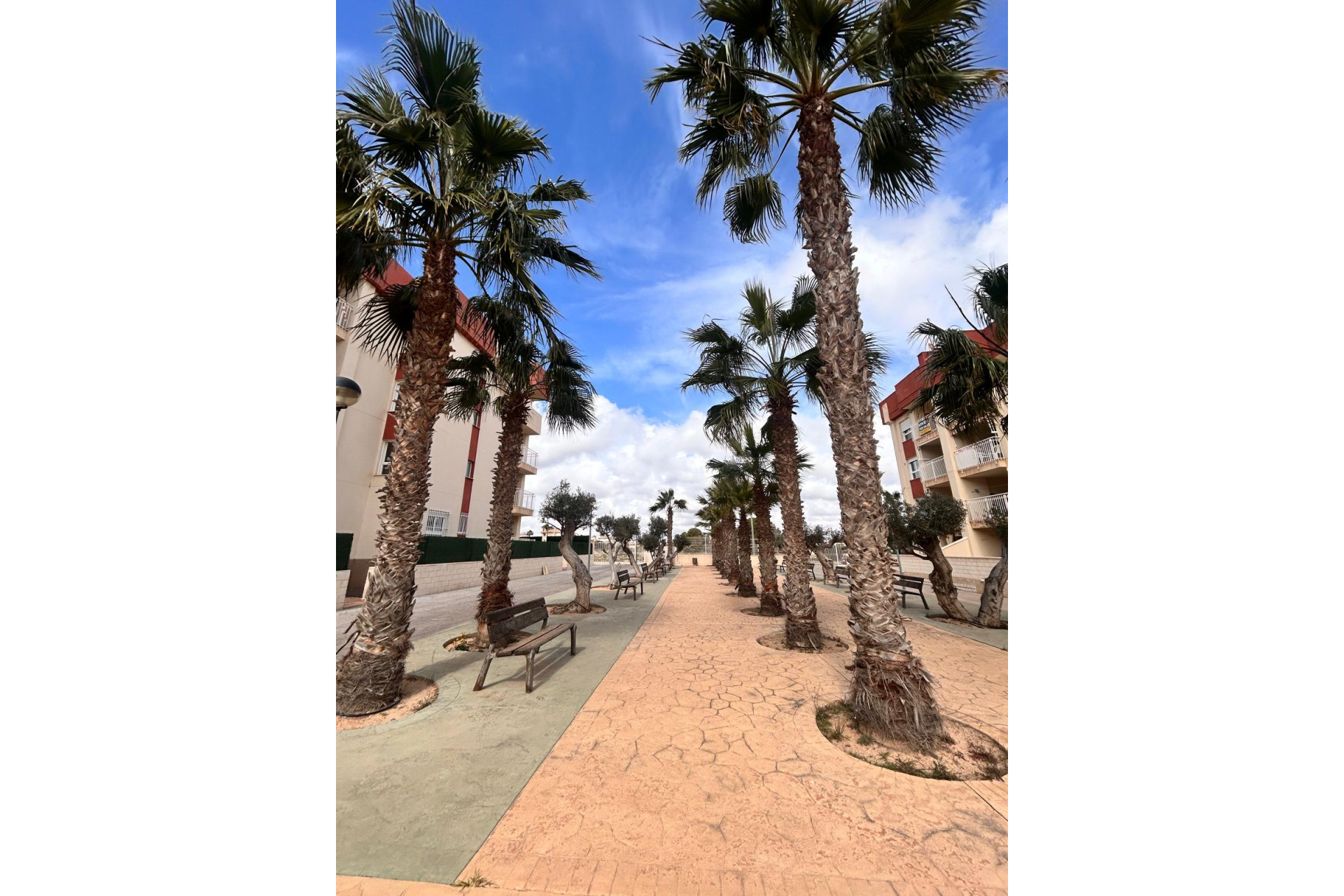 Новое здание - Пентхаус -
Orihuela Costa