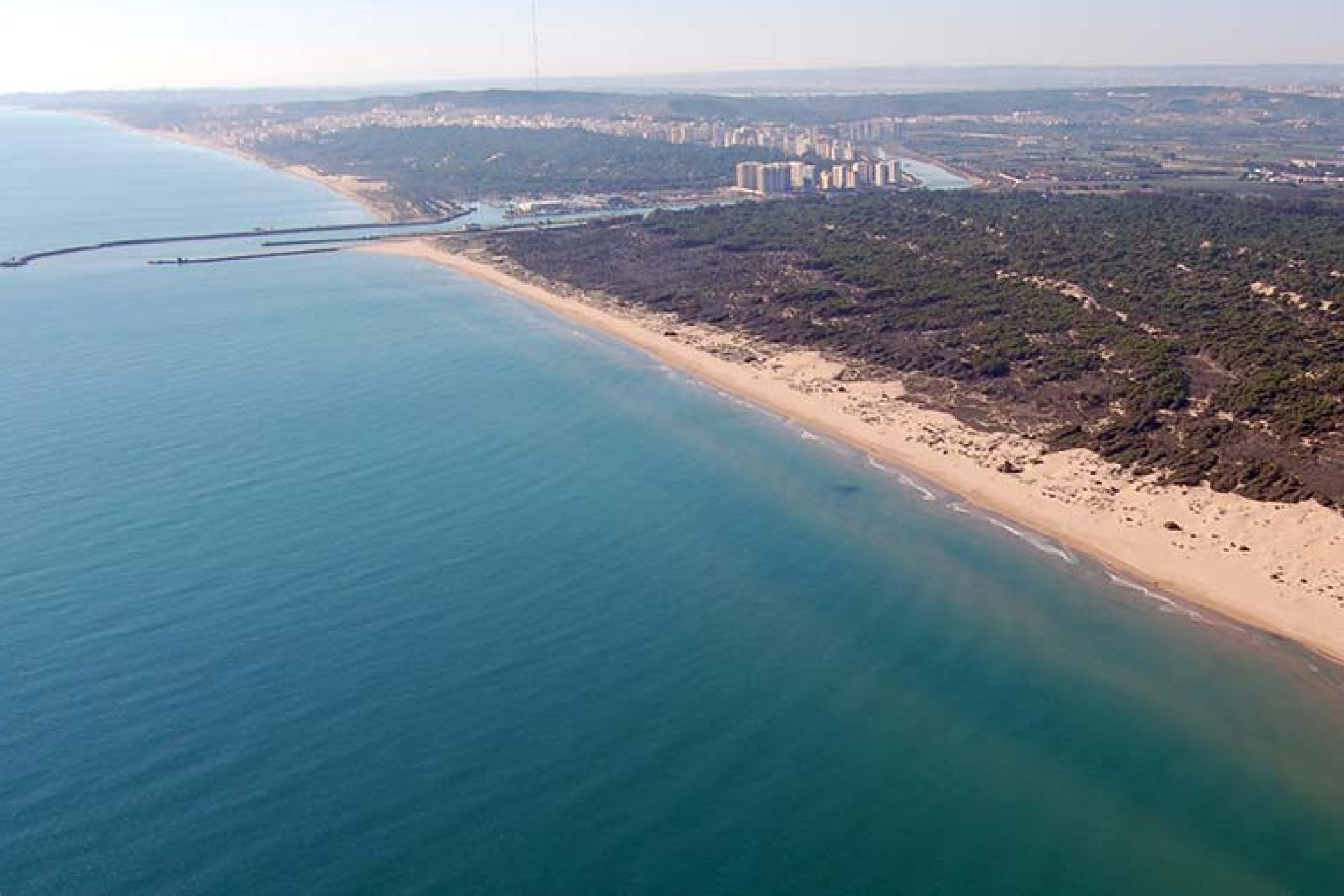 Новое здание - Таунхаус -
Daya Nueva