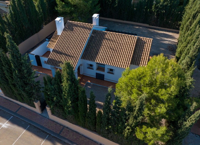 Новое здание - Villa -
Fuente Álamo - LAS PALAS