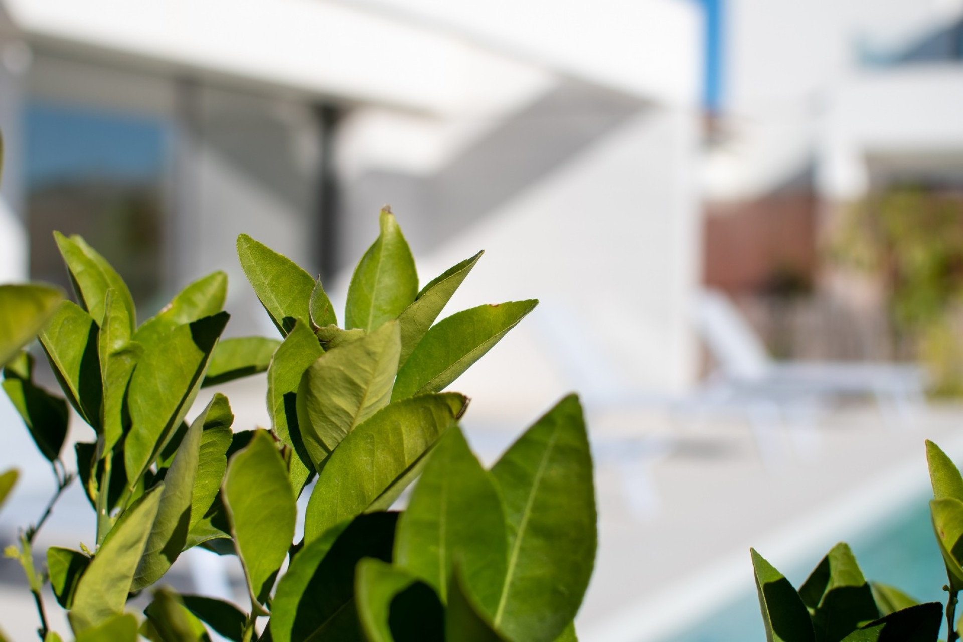 Новое здание - Villa -
Montesinos