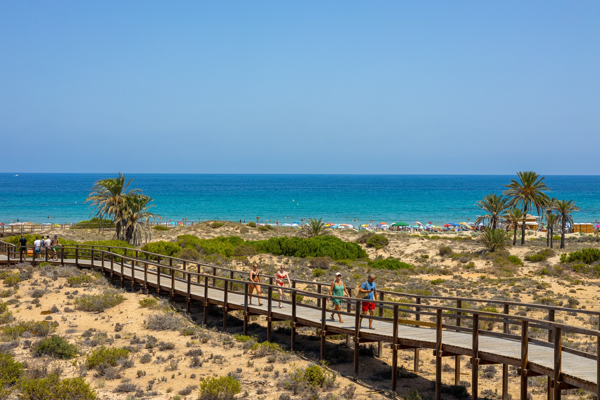 Nybyggnation - Lägenhet / lägenhet -
Arenales del Sol - Arenales