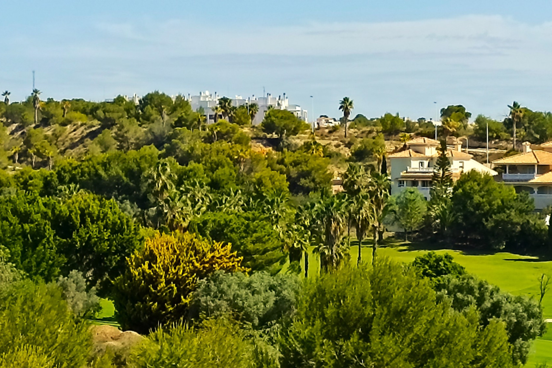 Nybyggnation - Lägenhet / lägenhet -
Orihuela Costa - Dehesa de campoamor