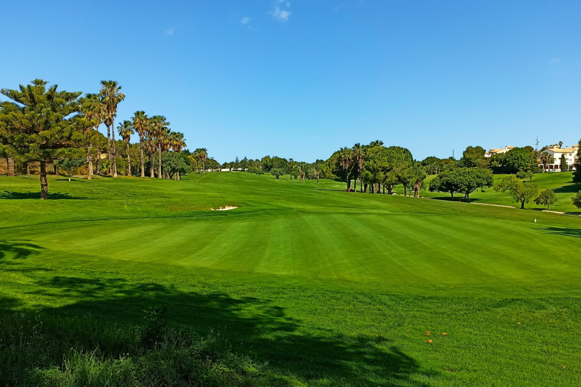 Nybyggnation - Lägenhet / lägenhet -
Orihuela Costa - Dehesa de campoamor