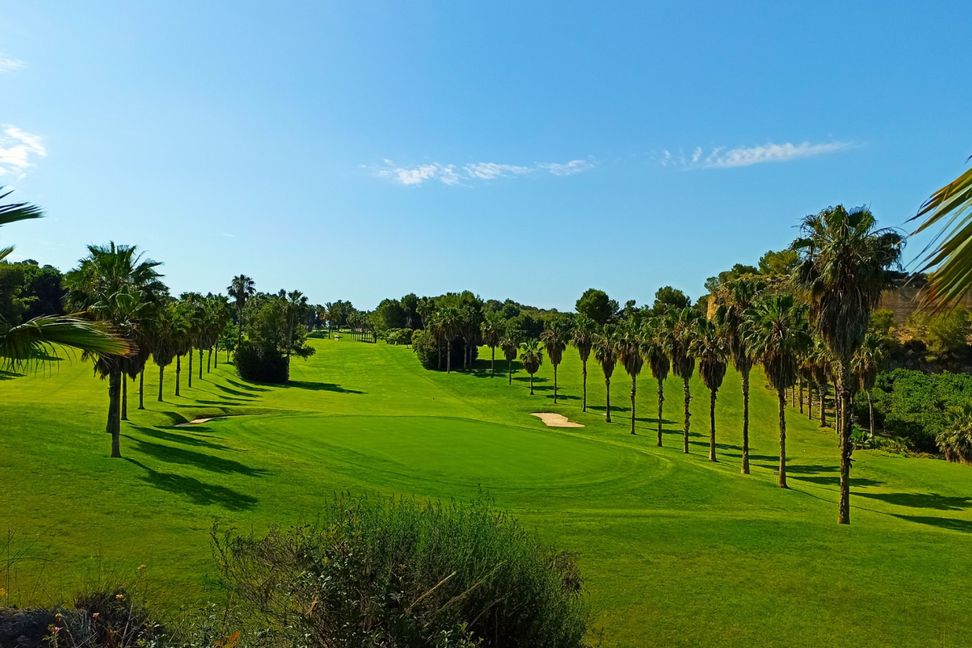 Nybyggnation - Lägenhet / lägenhet -
Orihuela Costa - Dehesa de campoamor