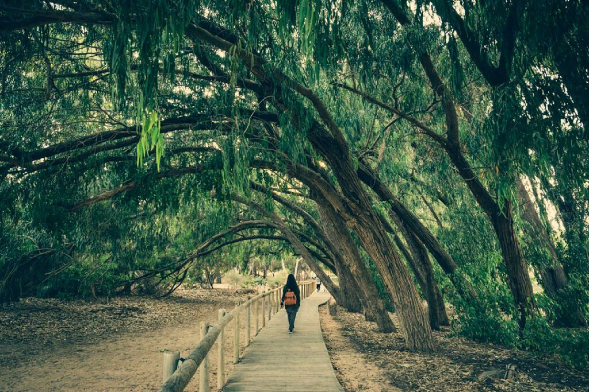 Nybyggnation - Radhus -
Los Montesinos