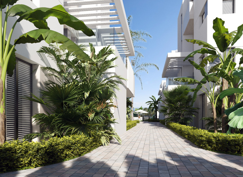 Obra nueva - Apartamento / piso -
Torre-Pacheco