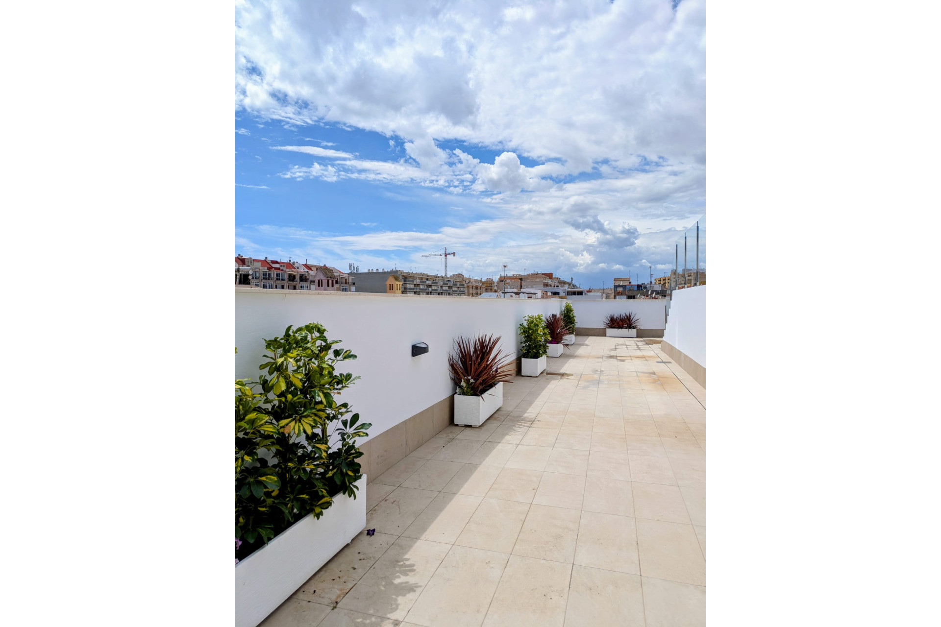Obra nueva - Apartamento / piso -
Torrevieja