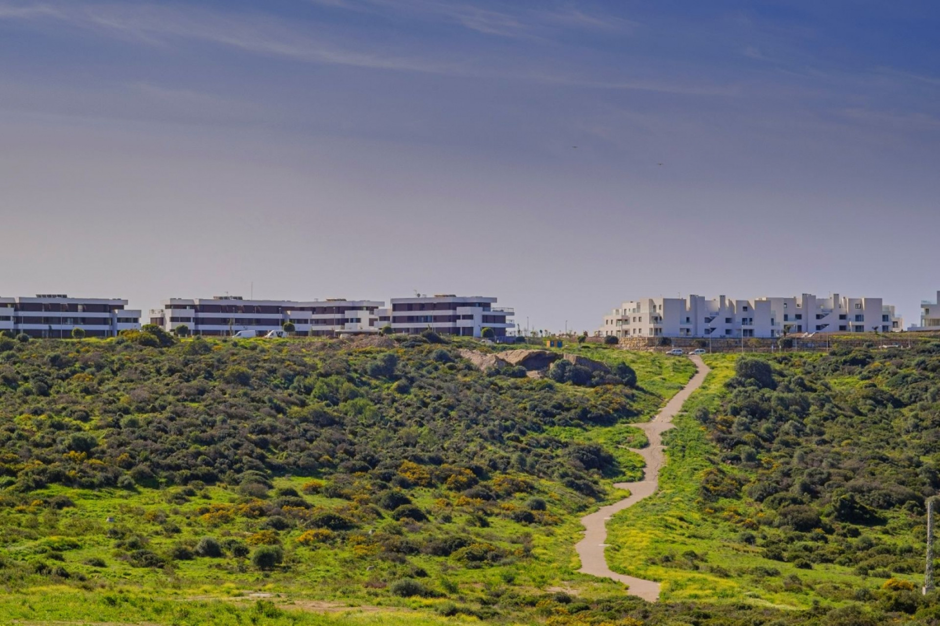 Obra nueva - apartment -
Casares