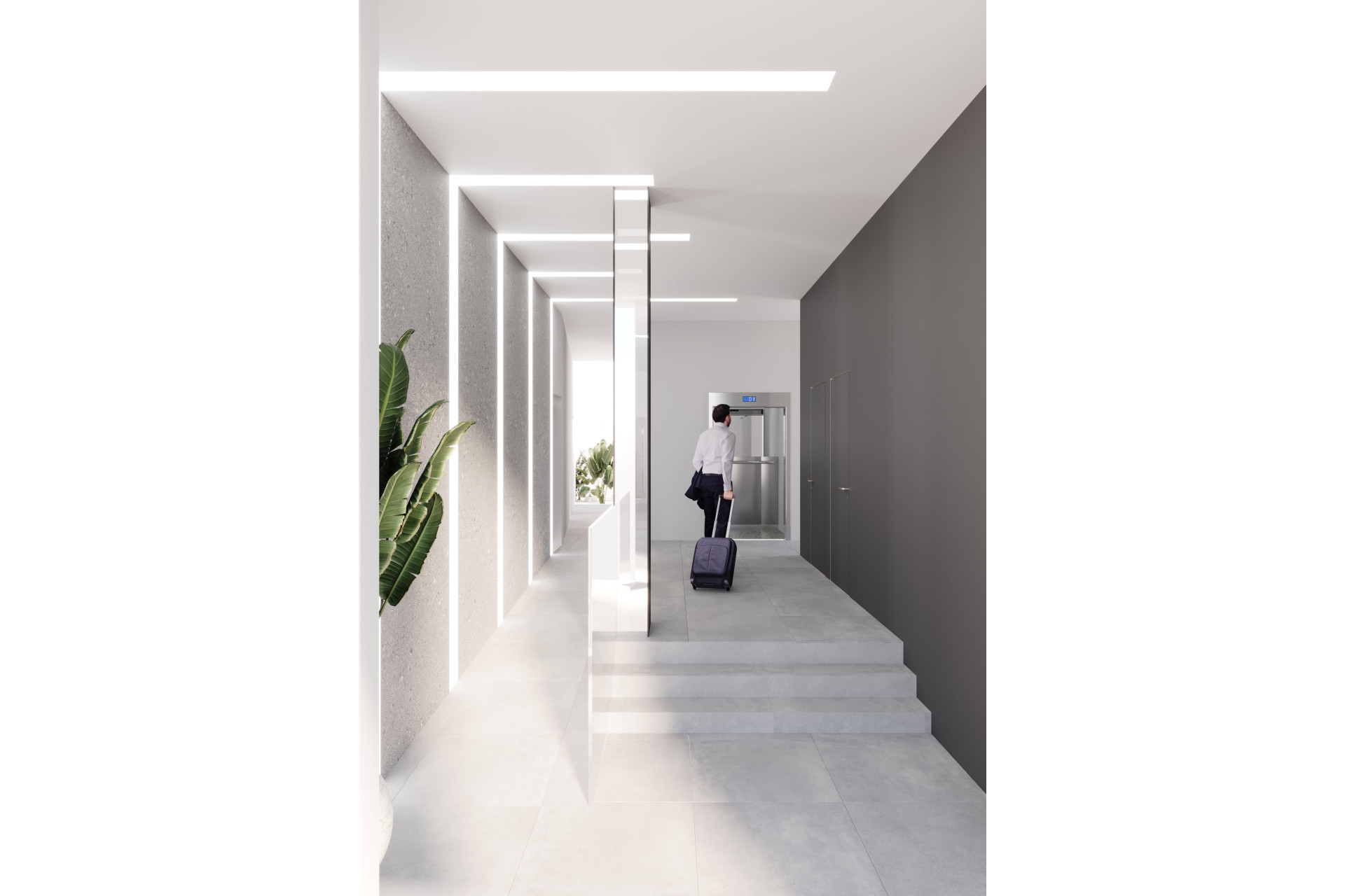 Obra nueva - Ático -
Torrevieja