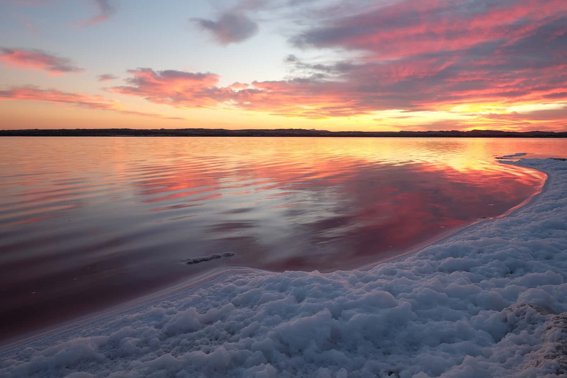 Obra nueva - Bungalow -
Torrevieja