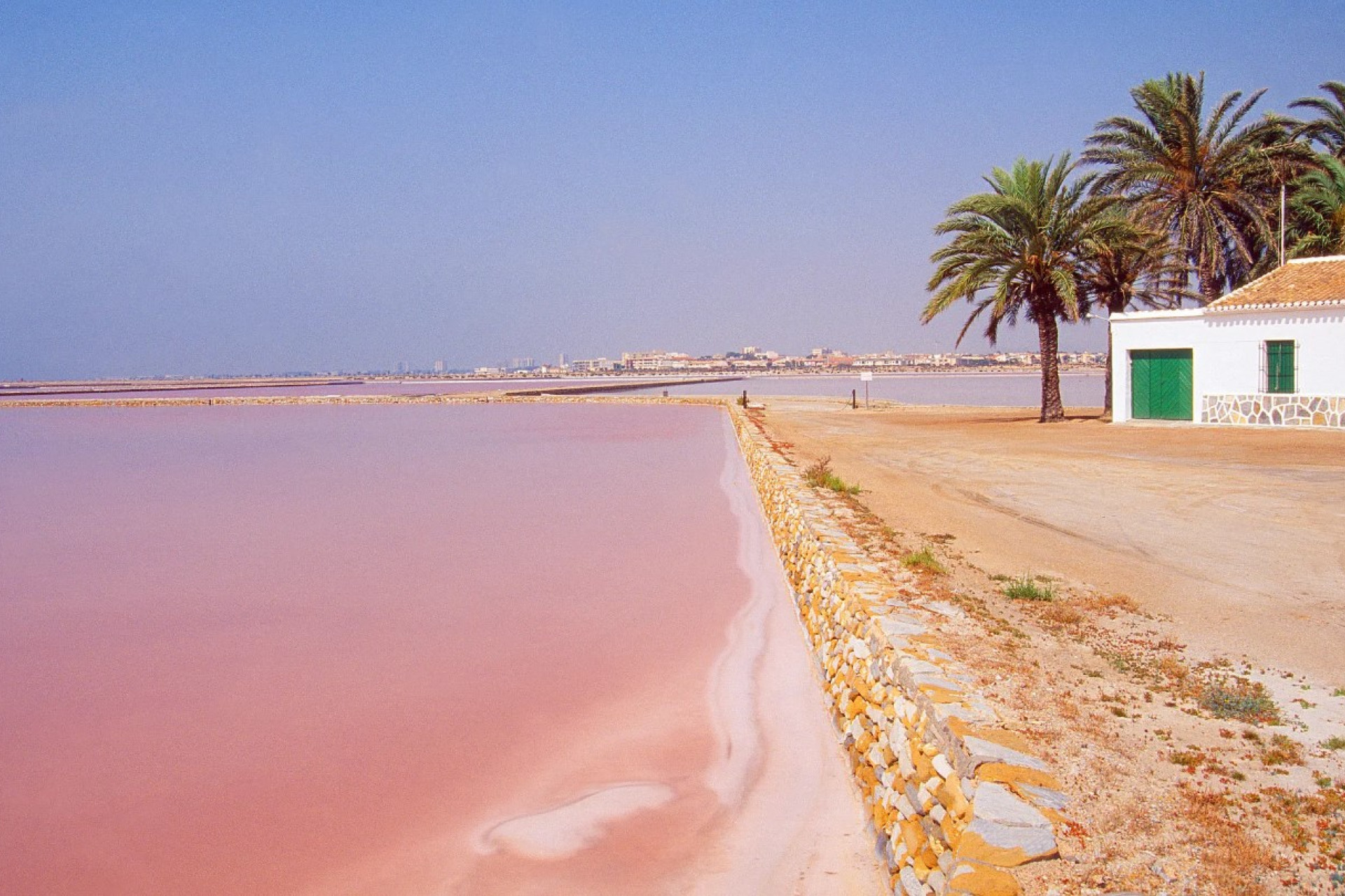 Obra nueva - terraced -
Pilar de la Horadada