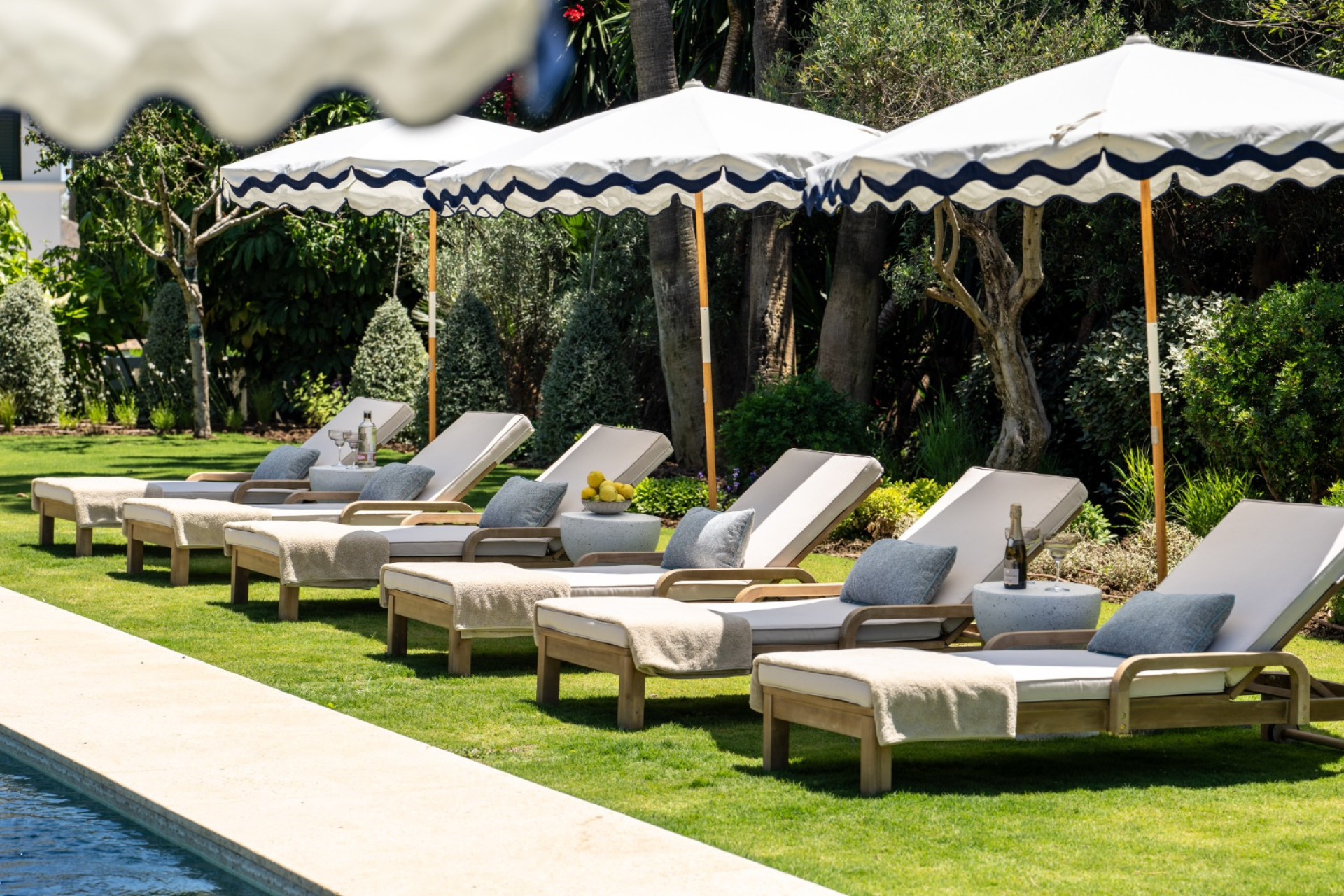 Obra nueva - Villa -
Marbella