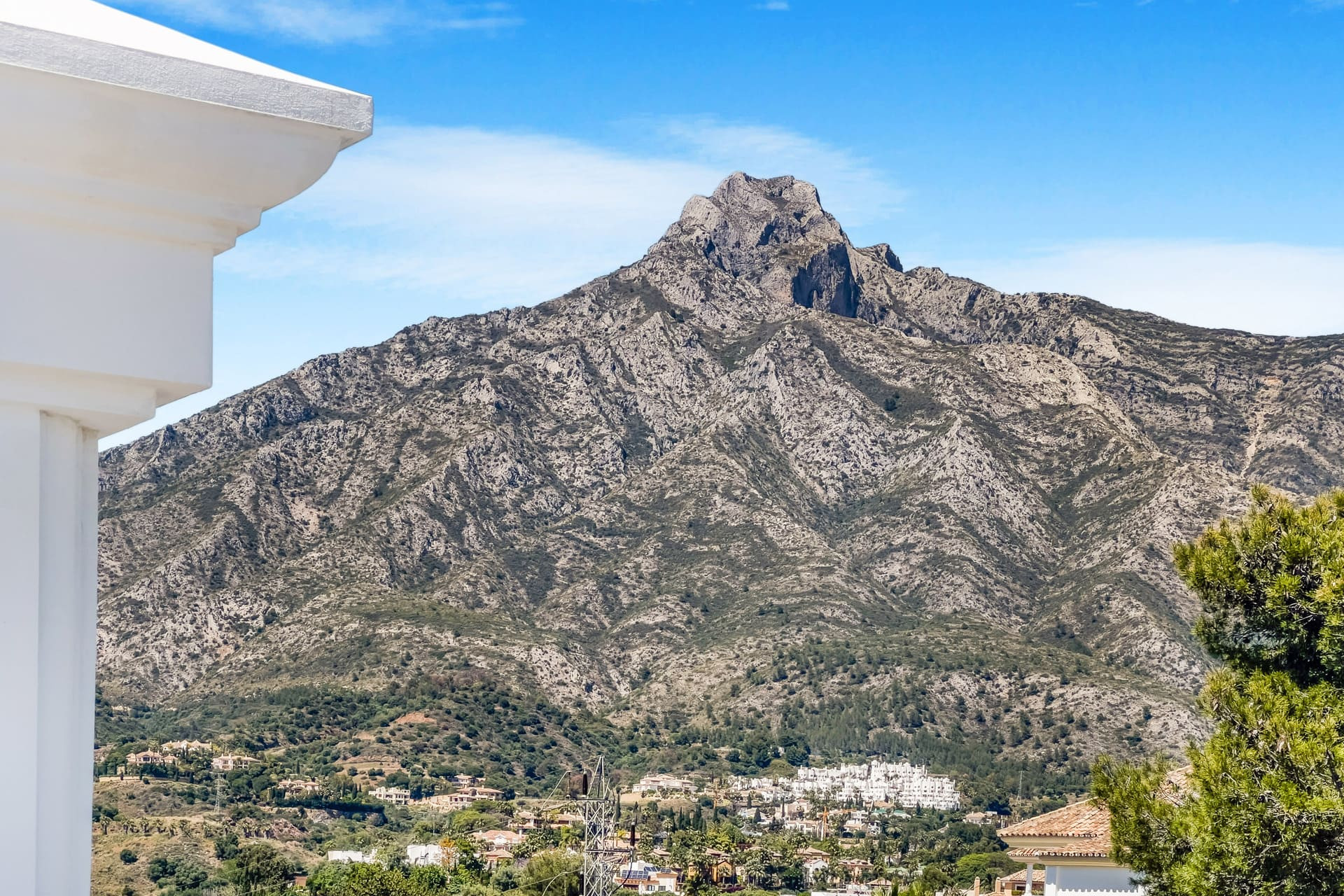 Obra nueva - Villa -
Marbella