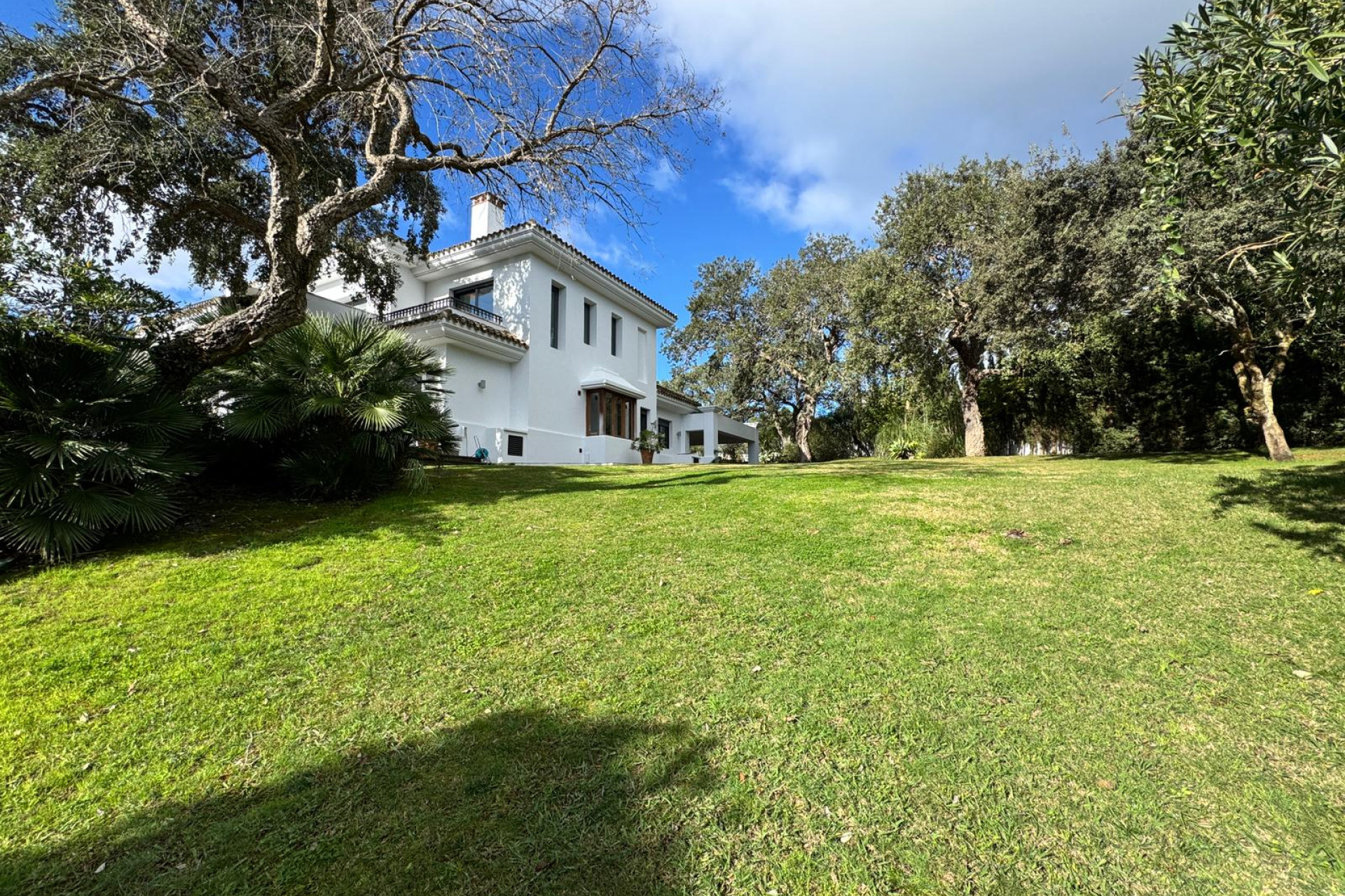 Obra nueva - Villa -
San Roque