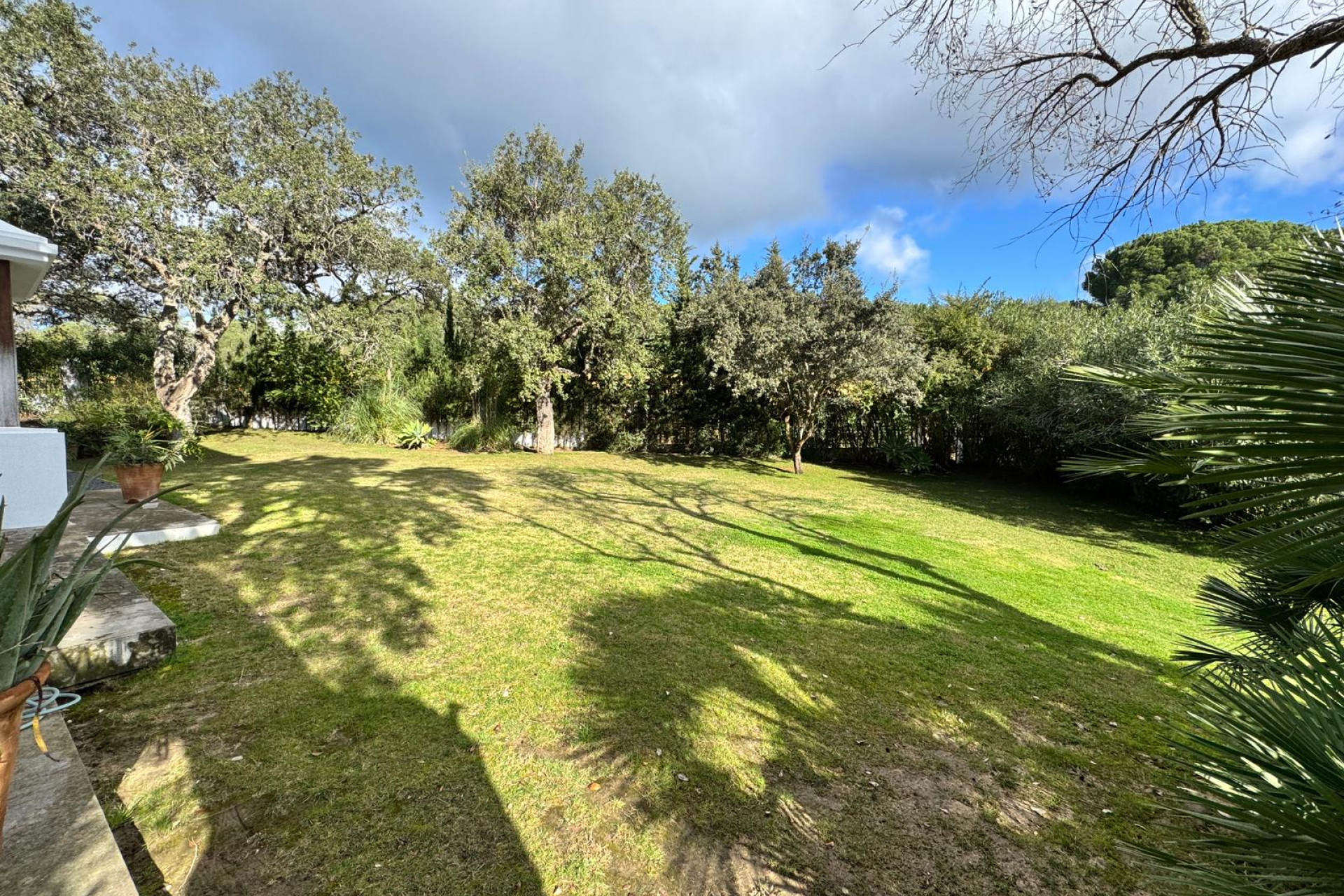 Obra nueva - Villa -
San Roque