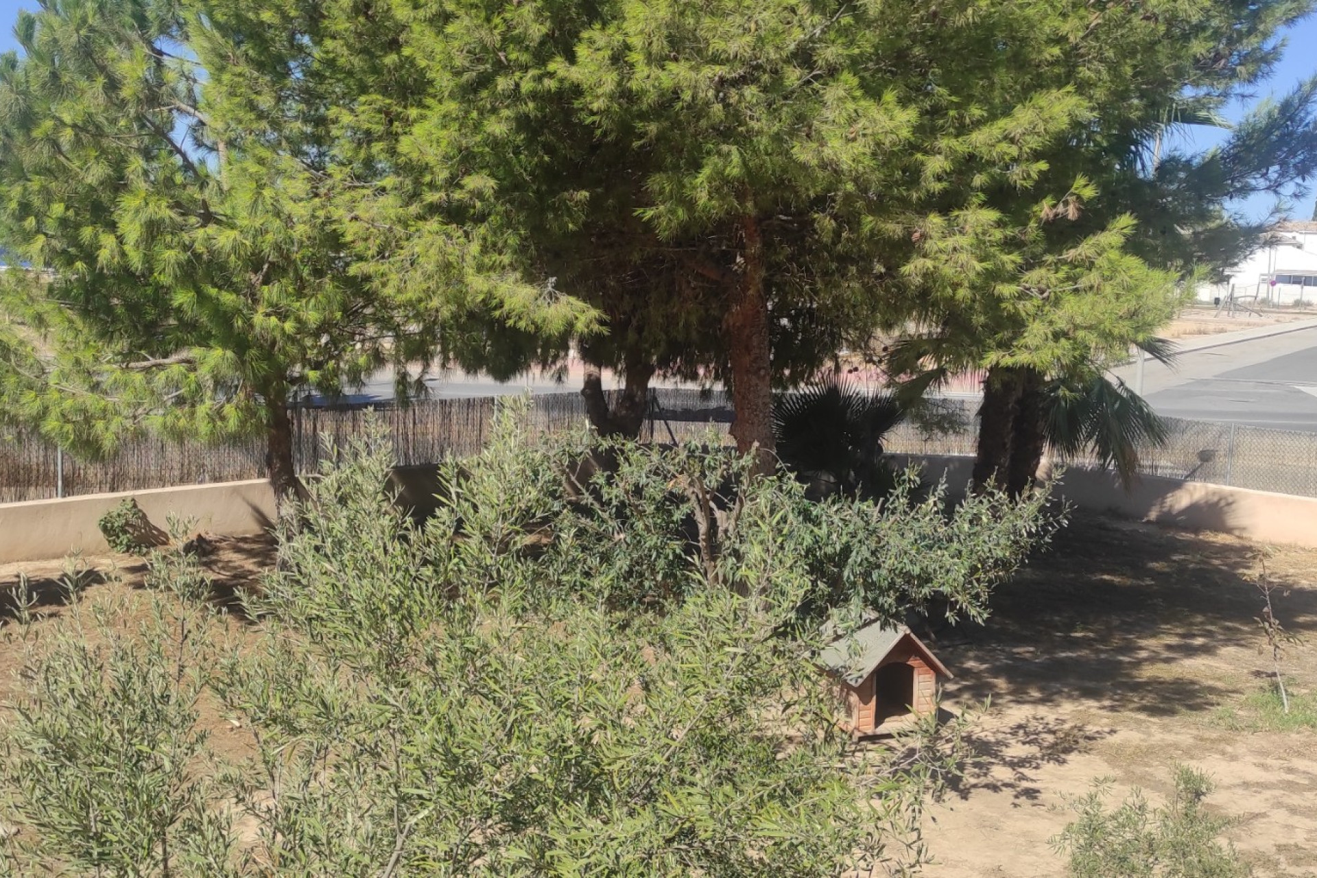 Revente - Villa -
San Javier