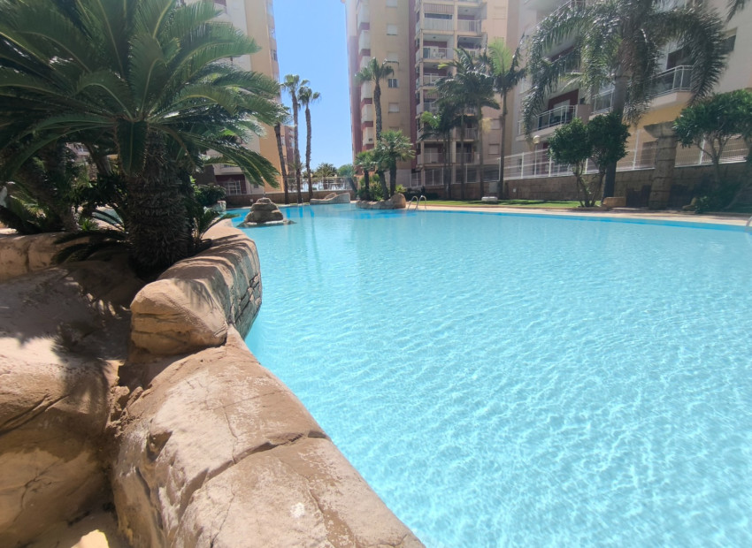 Segunda mano - Apartamento / piso -
La Manga Del Mar Menor - San Javier