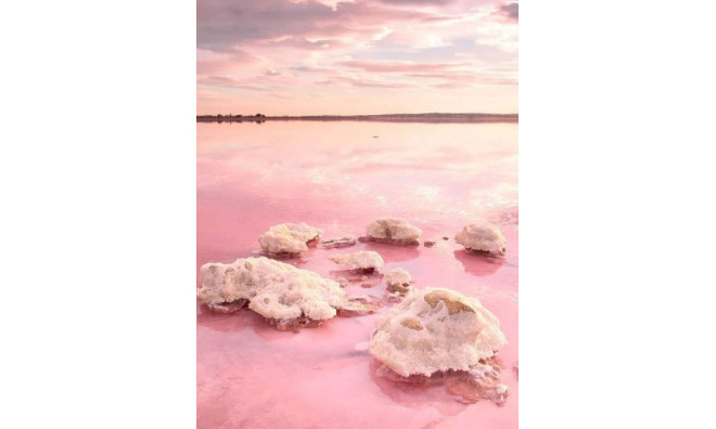 Nybyggnation - Lägenhet / lägenhet -
Torrevieja