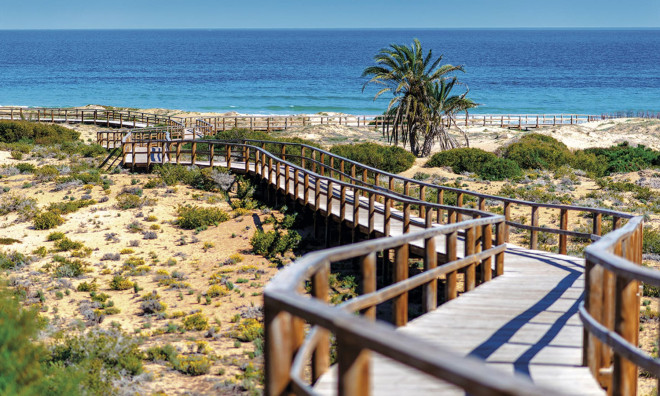 Nouvelle construction - Appartement -
Monforte del Cid