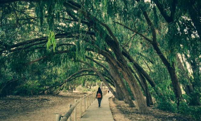 Obra nueva - Adosado -
Los Montesinos