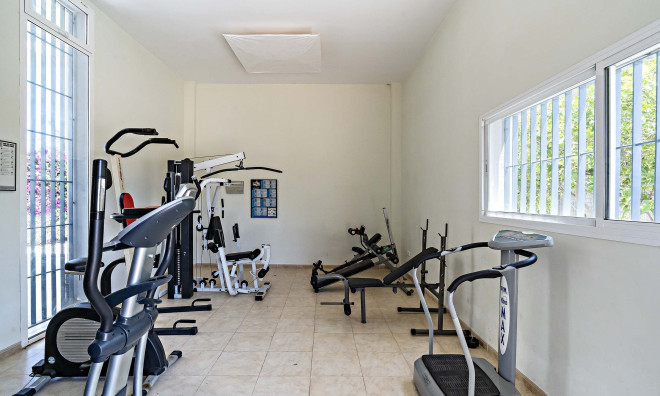 Новое здание - Квартира / квартира -
Vera