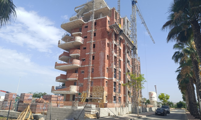 Obra nueva - Ático -
Guardamar del Segura