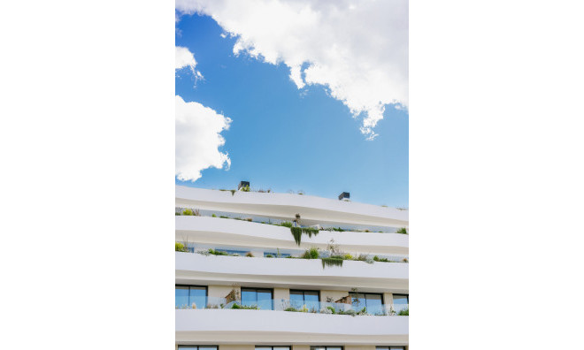 Nouvelle construction - Appartement -
Alfaz del Pi